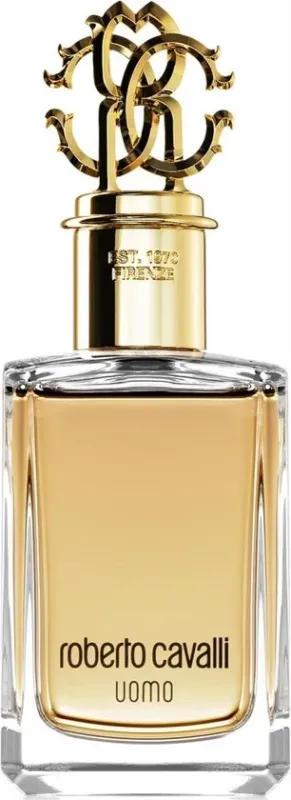 Roberto Cavalli Uomo - 100 ml - eau de toilette spray - herenparfum - Verpakking Ontbreekt