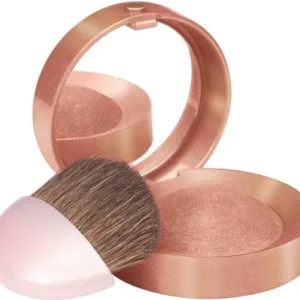 Bourjois Paris Little Round Pot Blush - 03 Brown