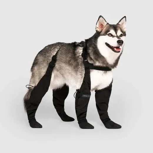 Protective Dog Boots All-Weather Paw Guards - Product showcase