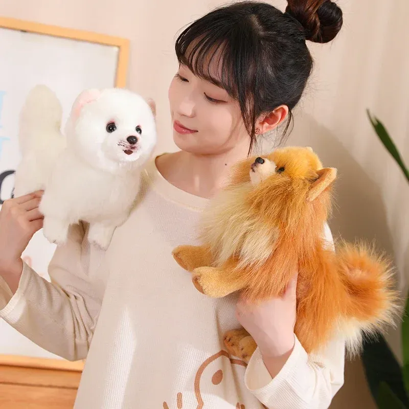 Plush Pomeranian Dog Toy Realistic 12-Inch Stuffed Animal - Detailed view