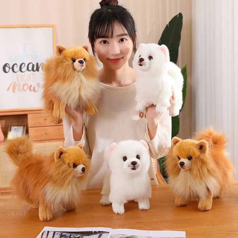 Plush Pomeranian Dog Toy Realistic 12-Inch Stuffed Animal - Product showcase