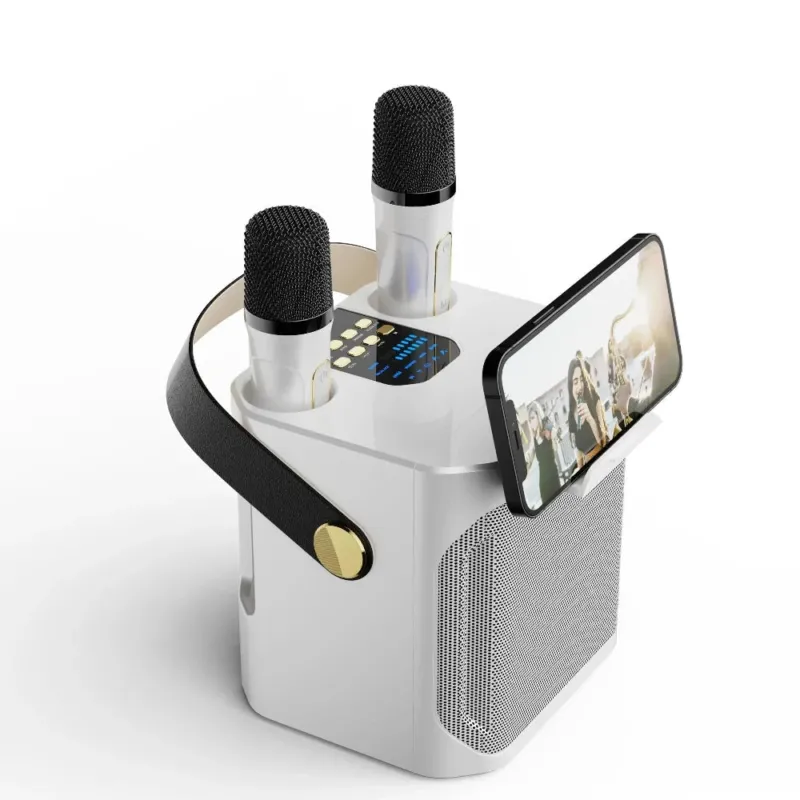 Portable Karaoke Speaker Dual Wireless Microphones With 360 Sound - Product showcase