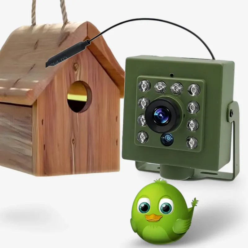 Nistkasten Kamera WLAN 1080p HD mit Nachtsicht für Vogelbeobachtung