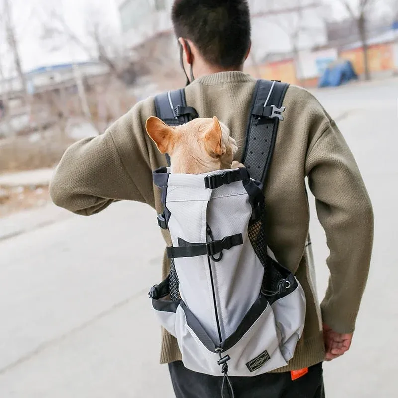 Pet Travel Backpack Adjustable Mesh Carrier With Safety Straps - Product showcase