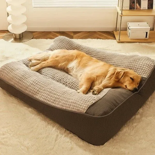 Orthopädisches Hundebett mit Nackenstütze – kratzfest und waschbar