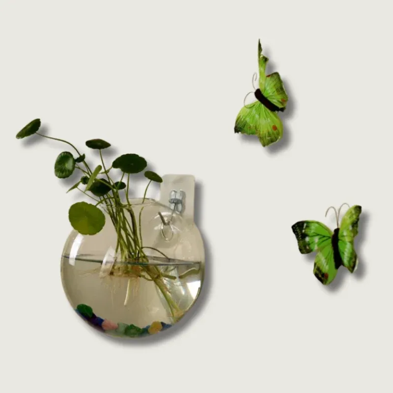 Wall Mounted Glass Vase Hydroponic Plant Display - Product showcase